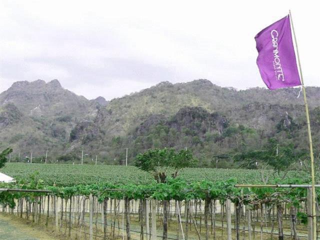 Granmonte Wine Cottage Phayayen 외부 사진