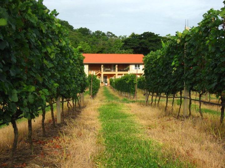 Granmonte Wine Cottage Phayayen 외부 사진
