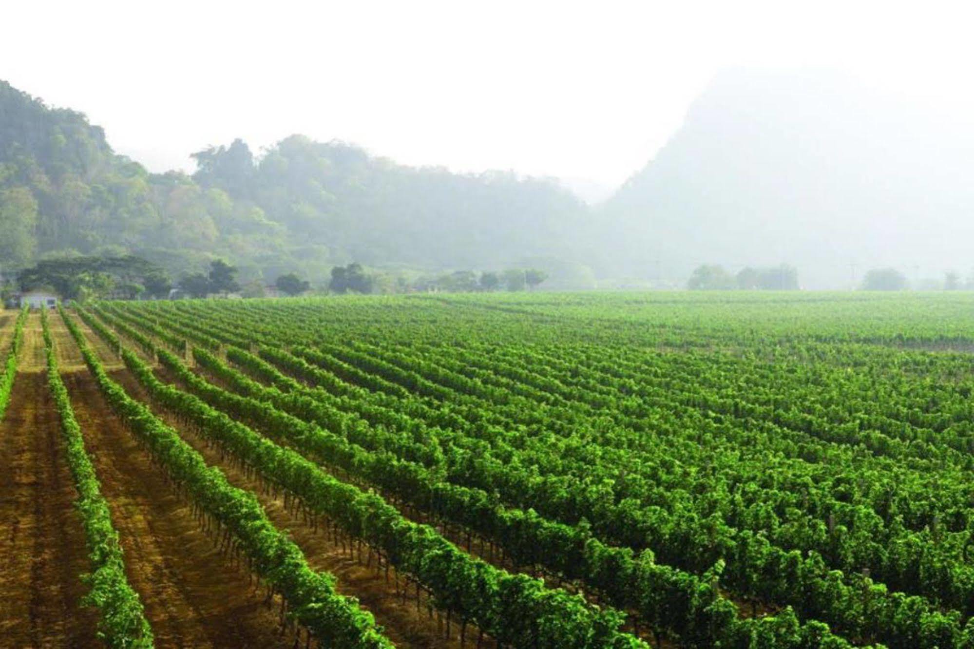 Granmonte Wine Cottage Phayayen 외부 사진
