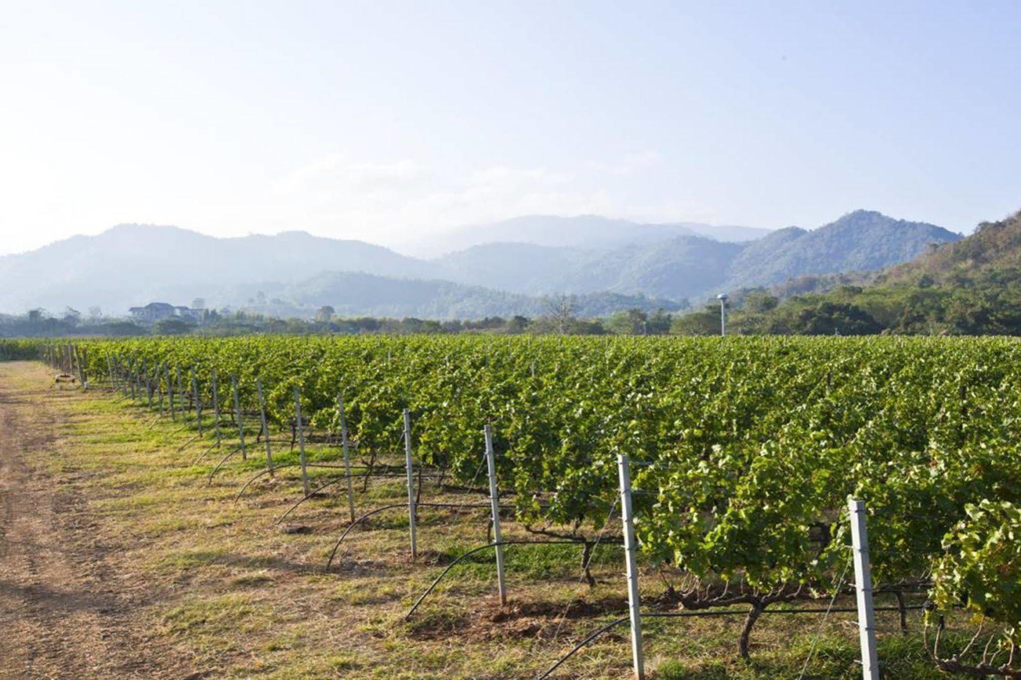 Granmonte Wine Cottage Phayayen 외부 사진
