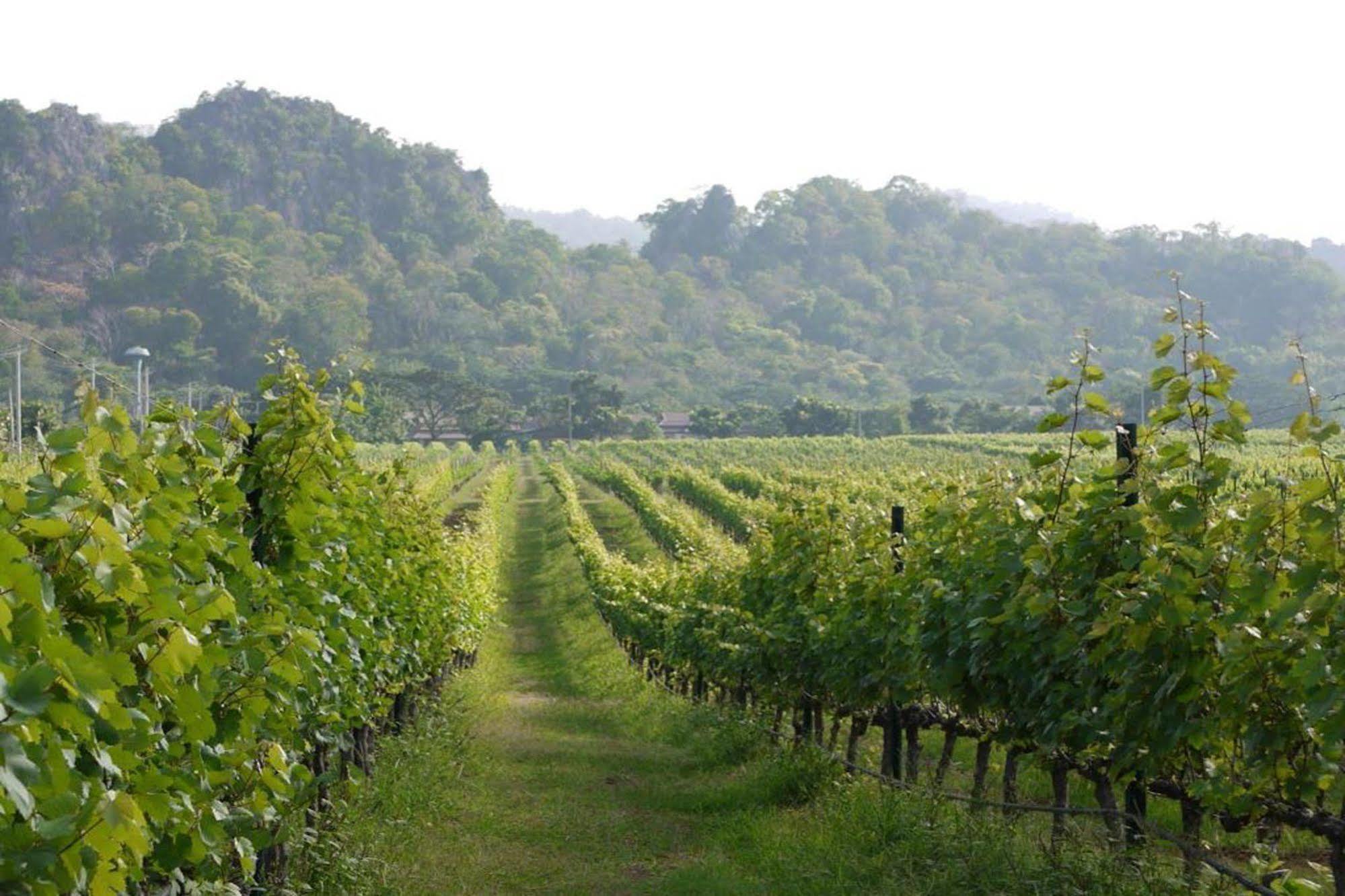 Granmonte Wine Cottage Phayayen 외부 사진
