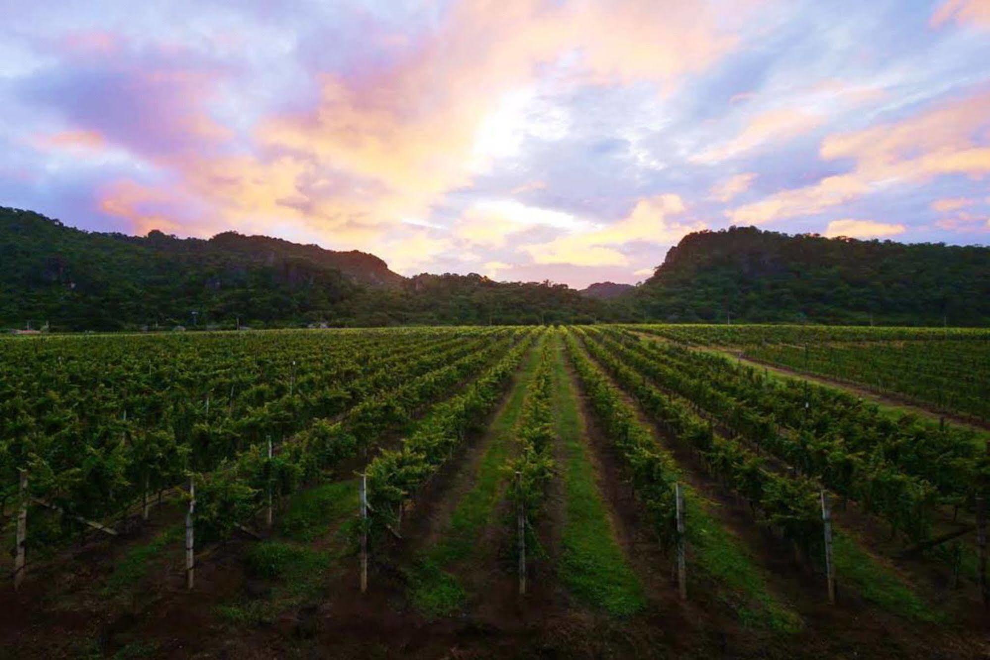 Granmonte Wine Cottage Phayayen 외부 사진